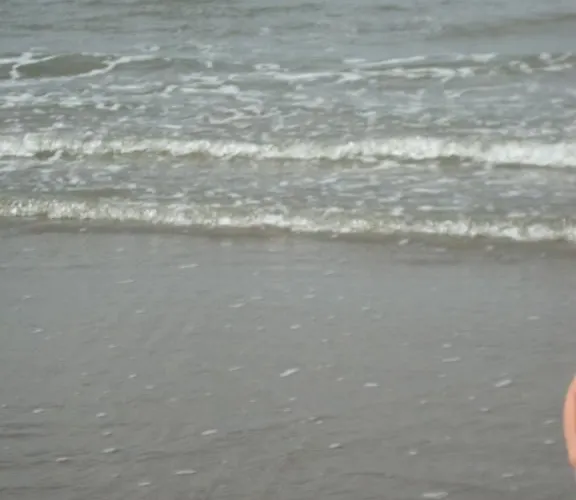 Residentie Da Vinci 아파트 미들케르케