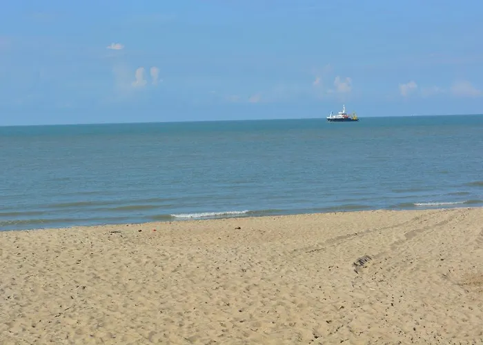 Residentie Da Vinci * 미들케르케