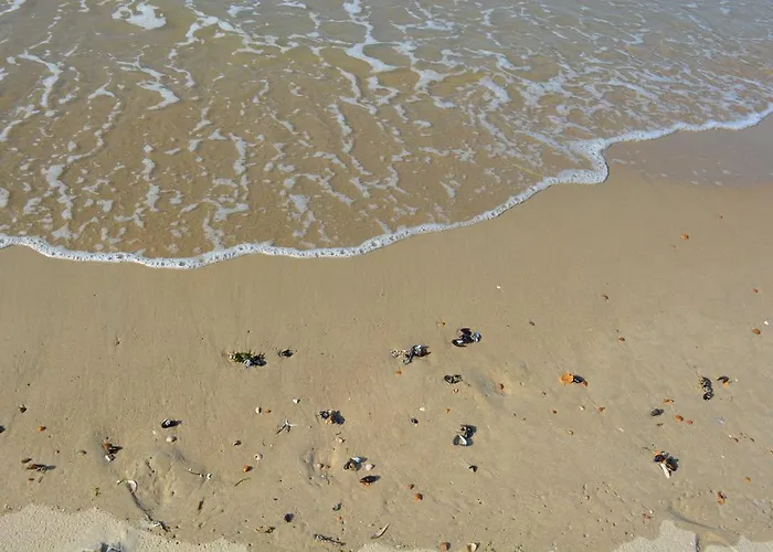 Residentie Da Vinci * 미들케르케